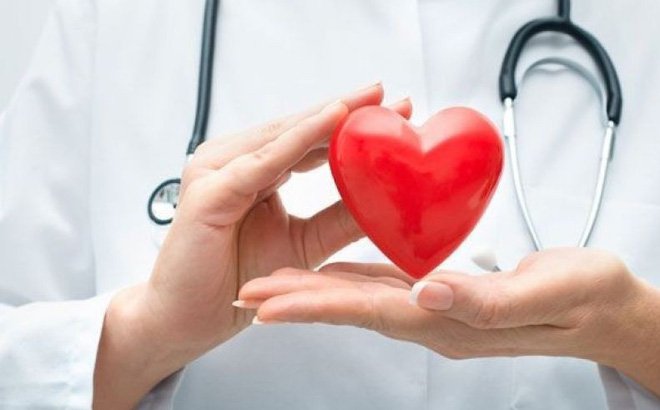 Những loại thảo mộc dành cho các vấn đề về tim mạch - MyPharma