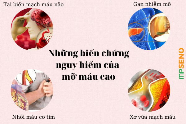 Các Biến Chứng Nguy Hiểm Của Mỡ Máu Cao