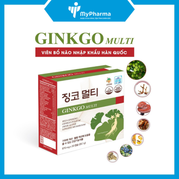 Ginkgo Multi Korea