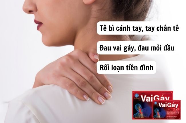 Viên vai gáy G&P - Thoái hóa đốt sống cổ, thoái hóa cột sống