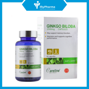 Ginkgo Biloba