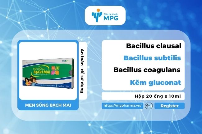 Men sống bạch mai - Cải thiện đường ruột, tăng sức đề kháng