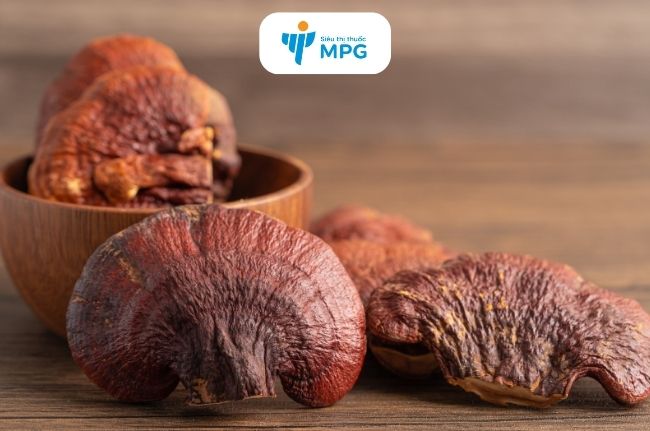 Nấm linh chi đỏ trong sản phẩm Trùng thảo ăn ngủ ngon giúp hỗ trợ bồi bổ cơ thể, tăng hấp thu