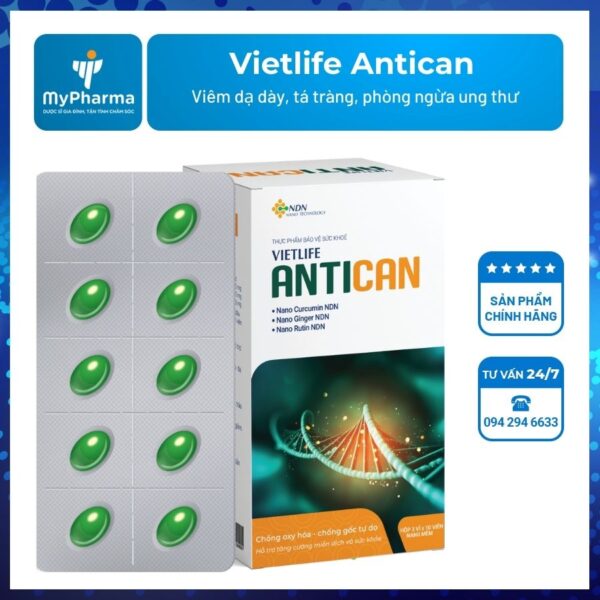 Vietlife Antican