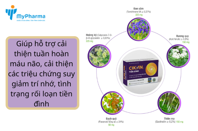 Cikan tiền đình - Hỗ trợ lưu thông tuần hoàn máu não 
