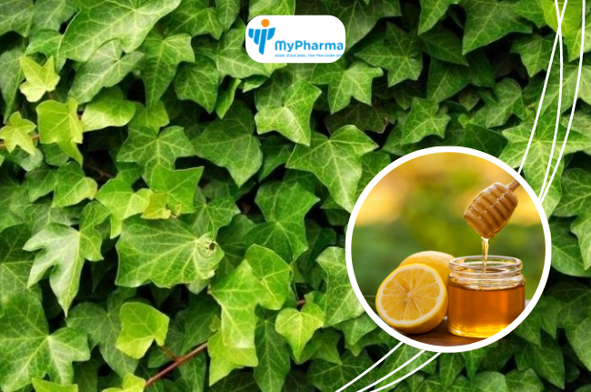 Euprovit - Giảm ho, tăng cường đề kháng hô hấp