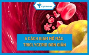 Hướng dẫn 5 cách giảm mỡ máu Triglycerid đơn giản, dùng ngay tại nhà ai cũng làm được