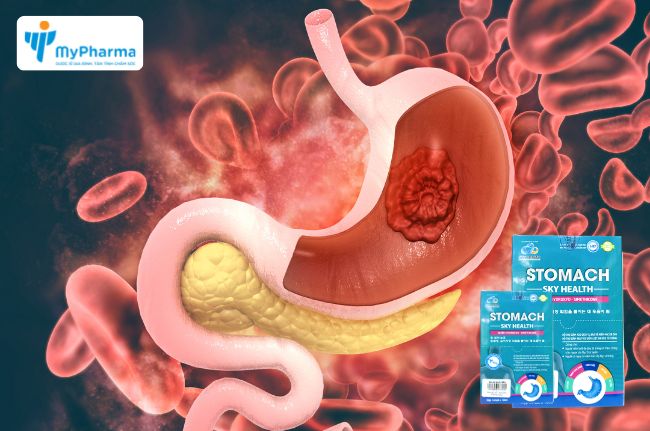 Stomach SkyHealth - Hỗ trợ giảm acid dịch vị, bảo vệ niêm mạc dạ dày