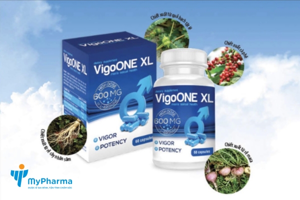 lý do nên sử dụng VigoONE XL