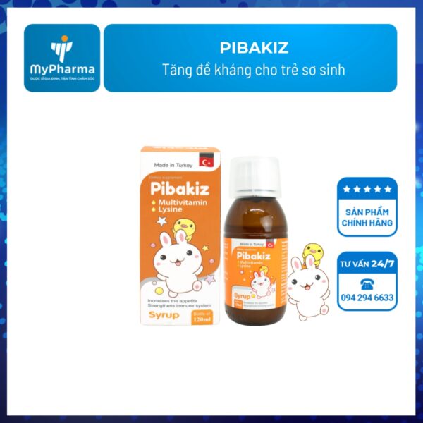 Pibakiz